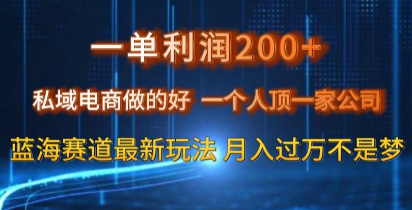 一单利润200私域电商做的好，一个人顶一家公司蓝海赛道最新玩法【揭秘】-副业宝典