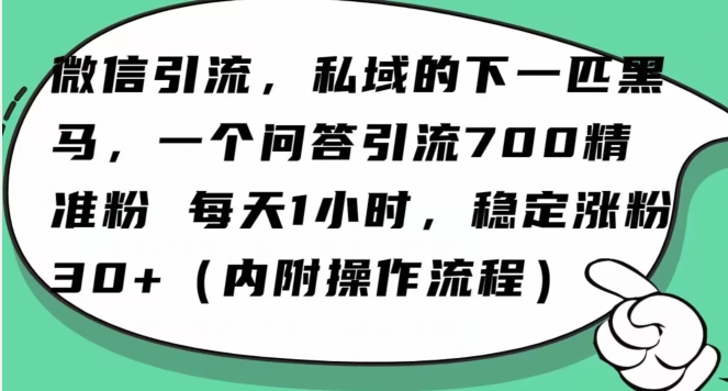 怎么搞精准创业粉？微信新赛道，每天一小时，利用Ai一个问答日引100精准粉-副业宝典
