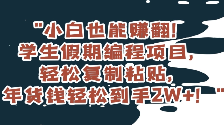 小白也能赚翻！学生假期编程项目，轻松复制粘贴，年货钱轻松到手2W+【揭秘】-副业宝典