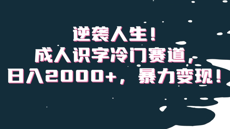 逆袭人生！成人识字冷门赛道，日入2000+，暴力变现！【揭秘】-副业宝典
