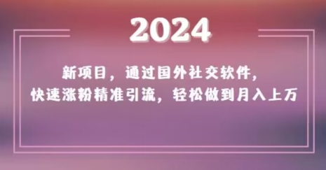 2024新项目，通过国外社交软件，快速涨粉精准引流，轻松做到月入上万【揭秘】-副业宝典