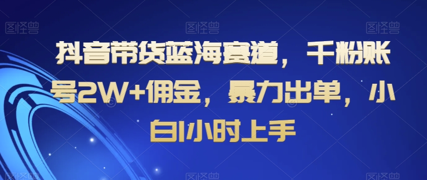 抖音带货蓝海赛道，千粉账号2W+佣金，暴力出单，小白1小时上手【揭秘】-副业宝典
