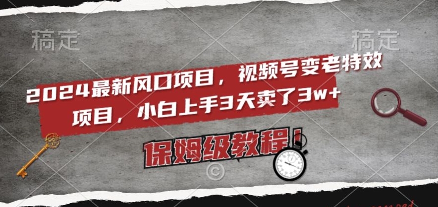 2024最新风口项目，视频号变老特效项目，电脑小白上手3天卖了3w+，保姆级教程【揭秘】-副业宝典