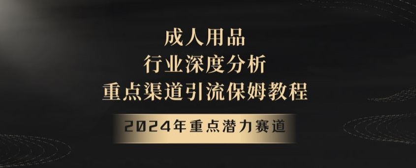 2024年重点潜力赛道，成人用品行业深度分析，重点渠道引流保姆教程【揭秘】-副业宝典