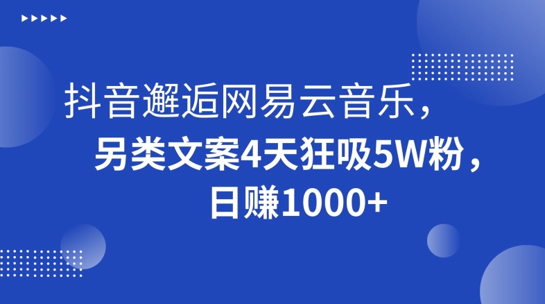 抖音邂逅网易云音乐，另类文案4天狂吸5W粉，日赚1000+【揭秘】-副业宝典