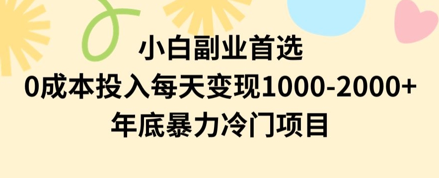 小白副业首选，0成本投入，每天变现1000-2000年底暴力冷门项目【揭秘】-副业宝典