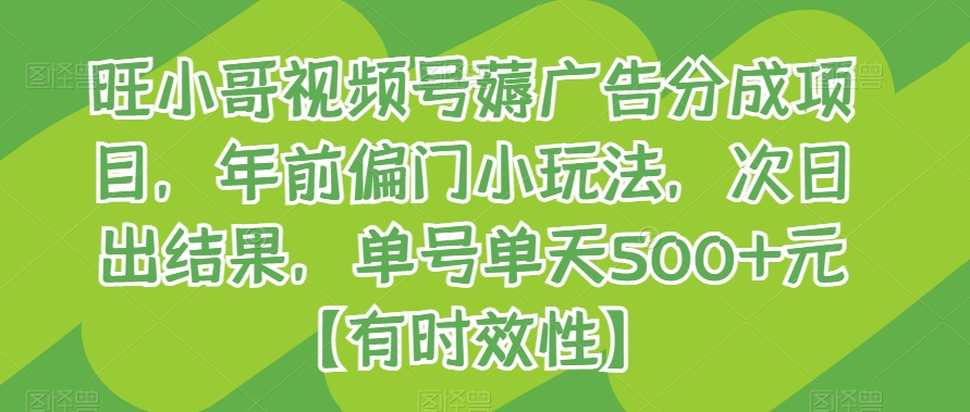 旺小哥视频号薅广告分成项目，年前偏门小玩法，次日出结果，单号单天500+元【有时效性】-副业宝典