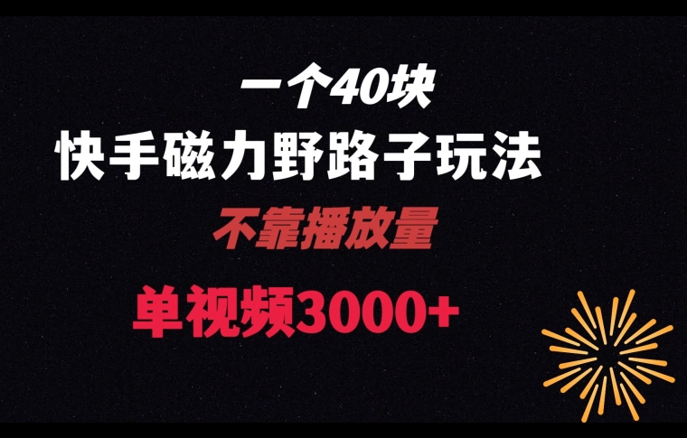 一个40块，快手联合美团磁力新玩法，无视机制野路子玩法，单视频收益4位数【揭秘】-副业宝典