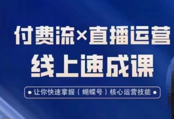 视频号付费流实操课程，付费流✖️直播运营速成课，让你快速掌握视频号核心运营技能-副业宝典