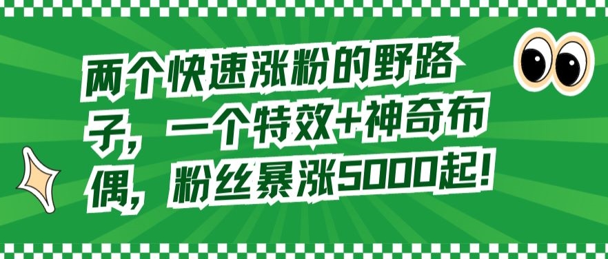 两个快速涨粉的野路子，一个特效+神奇布偶，粉丝暴涨5000起-副业宝典
