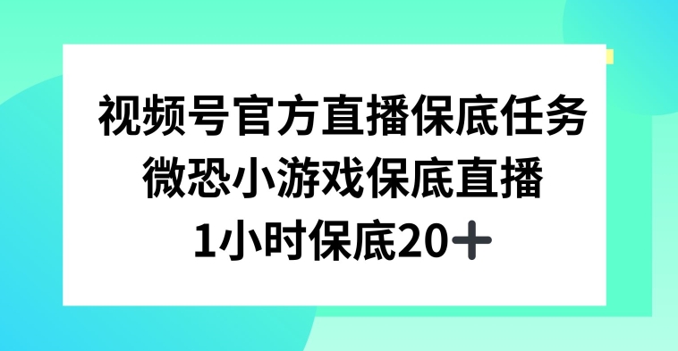 视频号直播任务，微恐小游戏，1小时20+-副业宝典