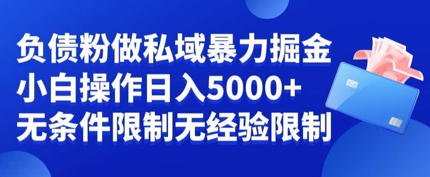 负债粉私域暴力掘金，小白操作入5000，无经验限制，无条件限制-副业宝典