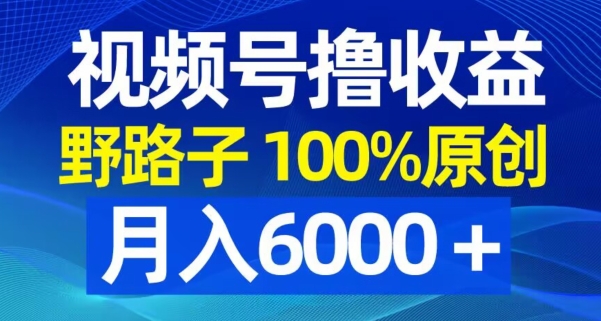 视频号野路子撸收益，100%原创，条条爆款，月入6000＋-副业宝典
