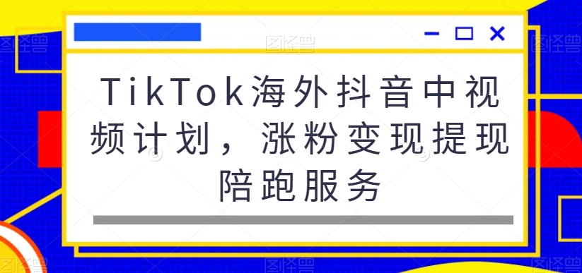 TikTok海外抖音中视频计划，涨粉变现提现陪跑服务-副业宝典