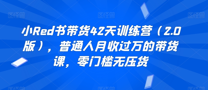 小Red书带货42天训练营（2.0版），普通人月收过万的带货课，零门槛无压货-副业宝典
