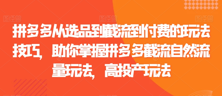 拼多多从选品到截流到付费的玩法技巧，助你掌握拼多多截流自然流量玩法，高投产玩法-副业宝典