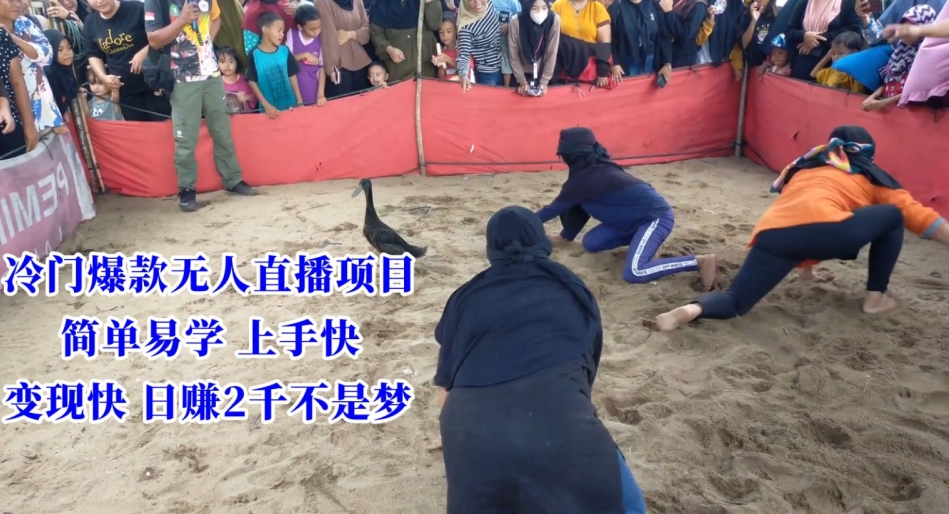 冷门爆款无人直播项目，简单易学上手快，变现快日赚2千不是梦-副业宝典