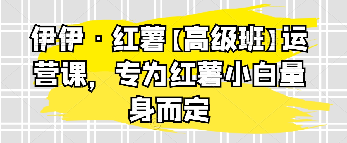 伊伊·红薯【高级班】运营课，专为红薯小白量身而定-副业宝典