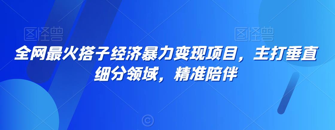 全网最火搭子经济暴力变现项目，主打垂直细分领域，精准陪伴-副业宝典