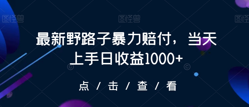 最新野路子暴力赔付，当天上手日收益1000+【仅揭秘】-副业宝典
