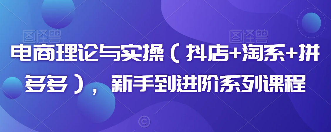 电商理论与实操（抖店+淘系+拼多多），新手到进阶系列课程-副业宝典