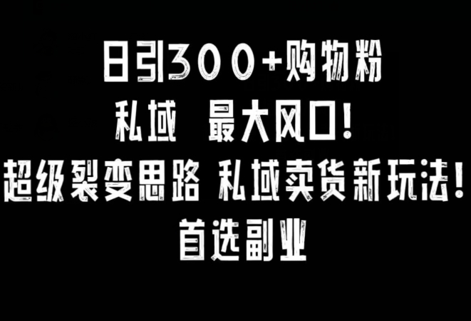 日引300+购物粉，超级裂变思路，私域卖货新玩法，小红书首选副业-副业宝典