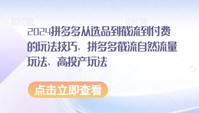 2024拼多多从选品到截流到付费的玩法技巧，拼多多截流自然流量玩法，高投产玩法-副业宝典