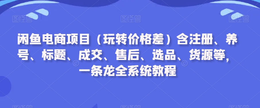 闲鱼电商项目（玩转价格差）含注册、养号、标题、成交、售后、选品、货源等，一条龙全系统教程-副业宝典