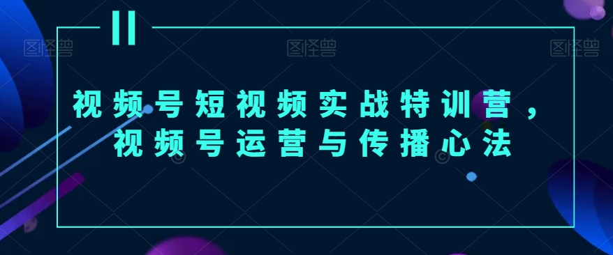 视频号短视频实战特训营，视频号运营与传播心法-副业宝典