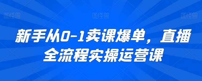 新手从0-1卖课爆单，直播全流程实操运营课-副业宝典