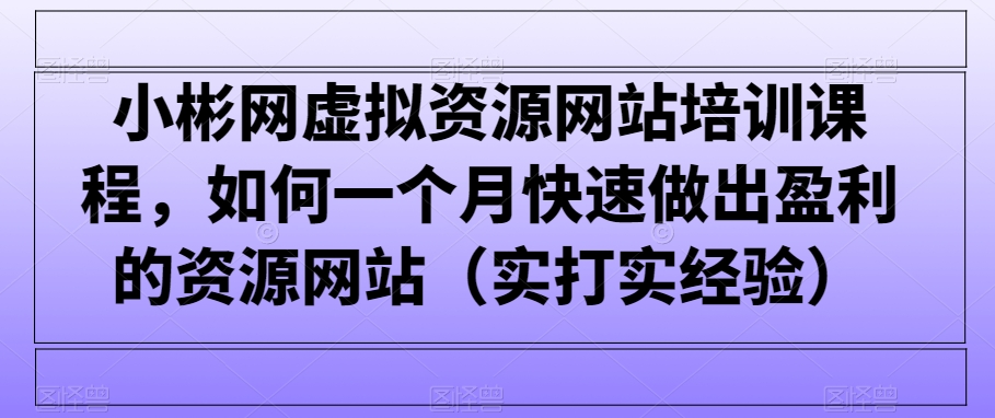 小彬网虚拟资源网站培训课程，如何一个月快速做出盈利的资源网站（实打实经验）-副业宝典