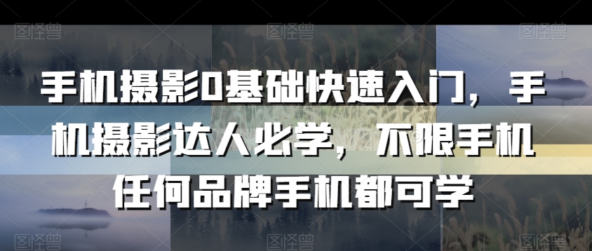 手机摄影0基础快速入门，手机摄影达人必学，不限手机任何品牌手机都可学-副业宝典