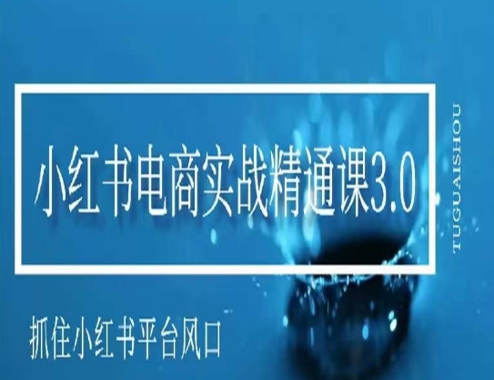小红书电商实战精通课3.0，抓住小红书平台的风口，不错过有一个赚钱的机会-副业宝典