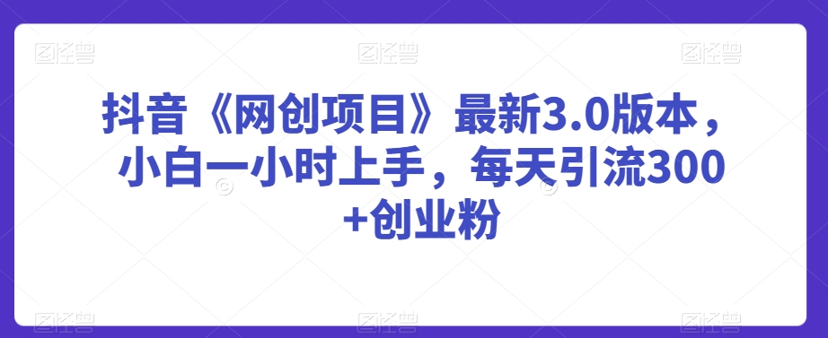 抖音《网创项目》最新3.0版本，小白一小时上手，每天引流300+创业粉-副业宝典