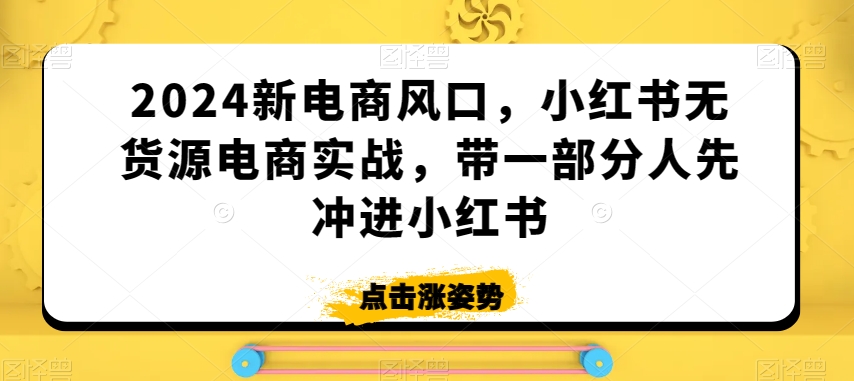 2024新电商风口，小红书无货源电商实战，带一部分人先冲进小红书-副业宝典