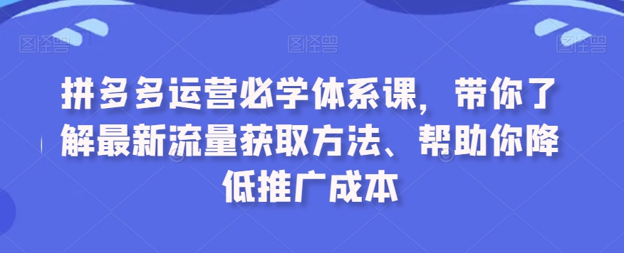拼多多运营必学体系课，带你了解最新流量获取方法、帮助你降低推广成本-副业宝典