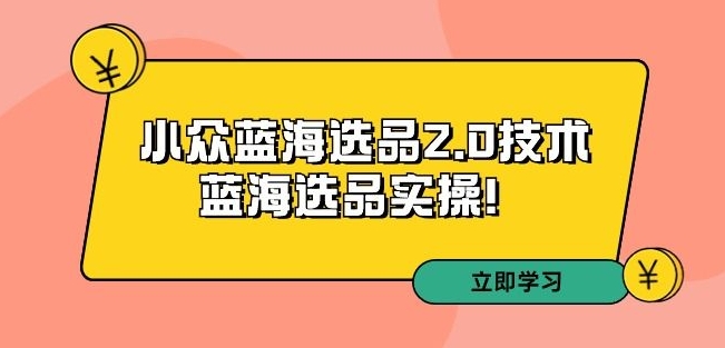 拼多多培训第33期：小众蓝海选品2.0技术-蓝海选品实操！-副业宝典