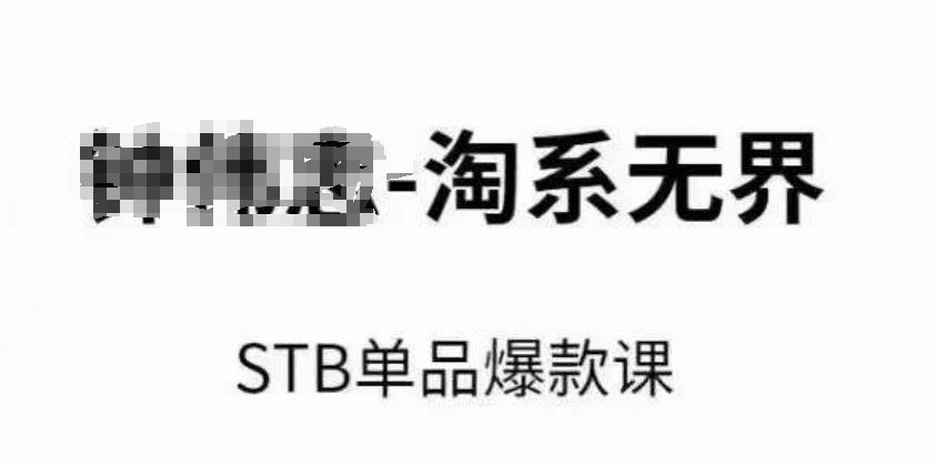 淘系无界STB单品爆款课（2024），付费带动免费的核心逻辑，万相台无界关键词推广/精准人群的核心-副业宝典