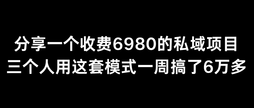 分享一个外面卖6980的私域项目三个人用这套模式一周搞了6万多-副业宝典