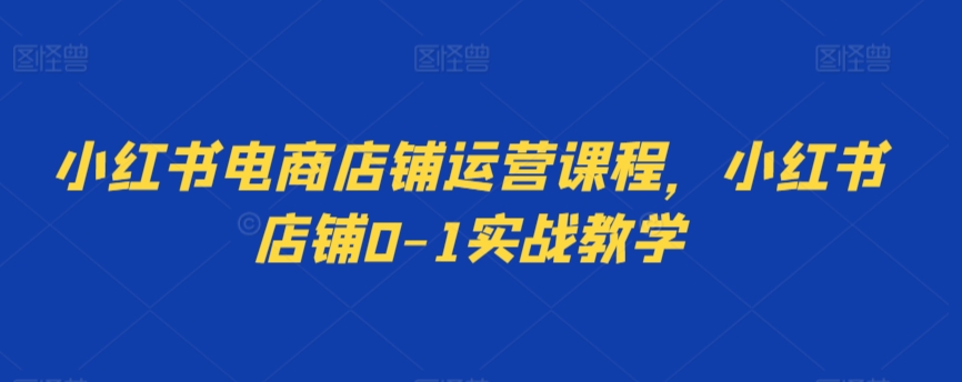 小红书电商店铺运营课程，小红书店铺0-1实战教学-副业宝典
