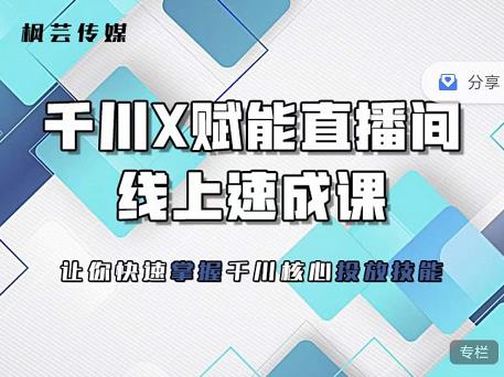 枫芸传媒-线上千川提升课，提升千川认知，提升千川投放效果-副业宝典