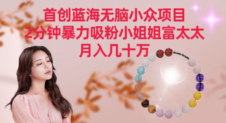 首创蓝海无脑小众项目，2分钟暴力吸粉小姐姐富太太，月入几十万-副业宝典
