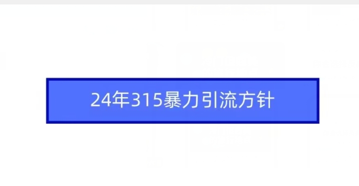 24年315暴力引流方针-副业宝典