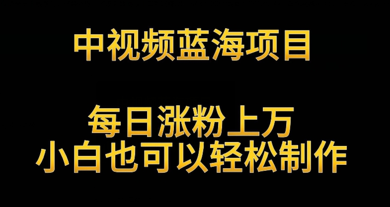 中视频蓝海项目，解读英雄人物生平，每日涨粉上万，小白也可以轻松制作，月入过万不是梦-副业宝典
