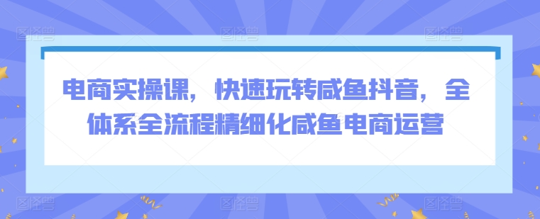 电商实操课，快速玩转咸鱼抖音，全体系全流程精细化咸鱼电商运营-副业宝典
