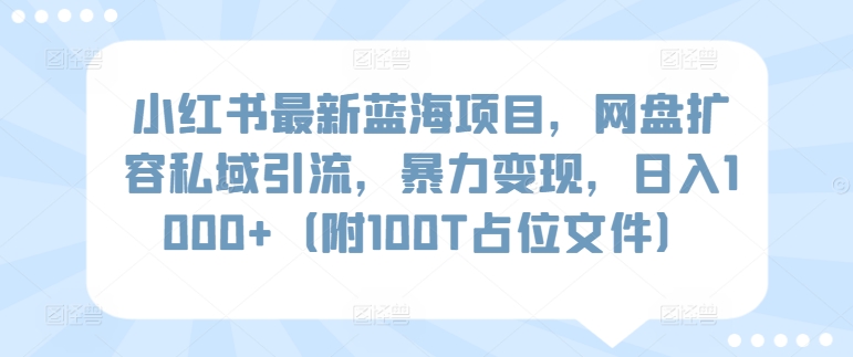 小红书最新蓝海项目，网盘扩容私域引流，暴力变现，日入1000+（附100T占位文件）-副业宝典