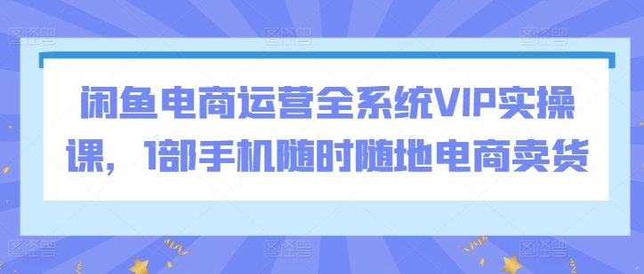 闲鱼电商运营全系统VIP实操课，1部手机随时随地电商卖货-副业宝典
