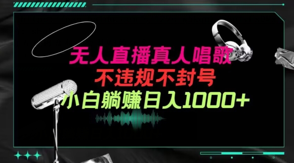抖音24小时无人直播音乐，不违规，不封号纯撸音浪，小白实操当天日入1000+-副业宝典