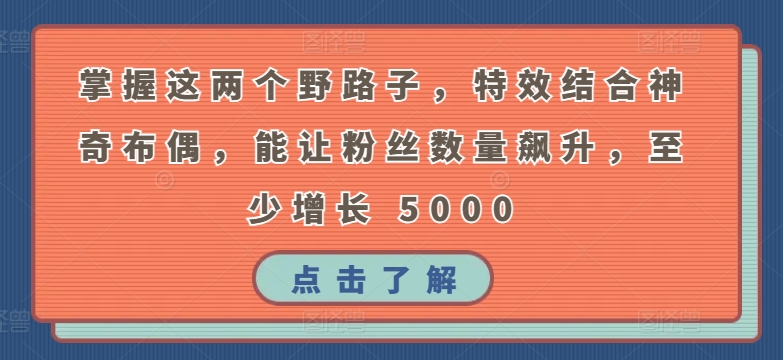 掌握这两个野路子，特效结合神奇布偶，能让粉丝数量飙升，至少增长 5000-副业宝典