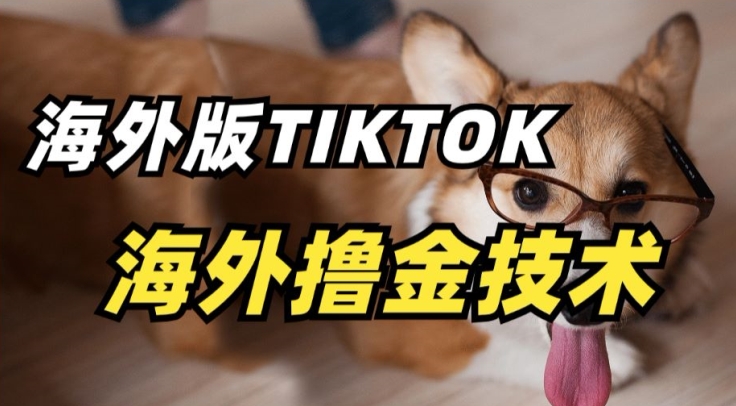 抖音海外版tiktok撸金技术，这个风口行业，赚钱真的不难-副业宝典